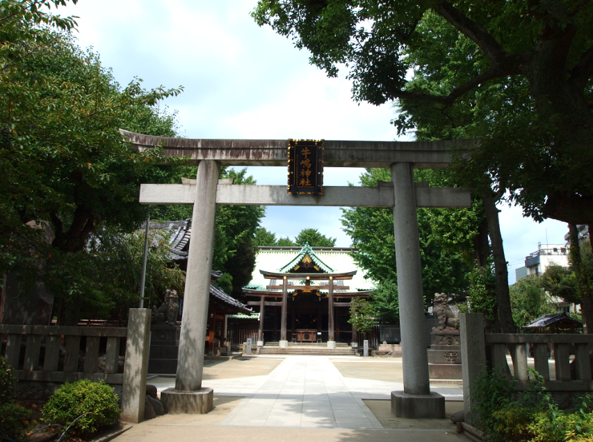 （写真：会場となる牛嶋神社は総桧作りの美しい神社です）