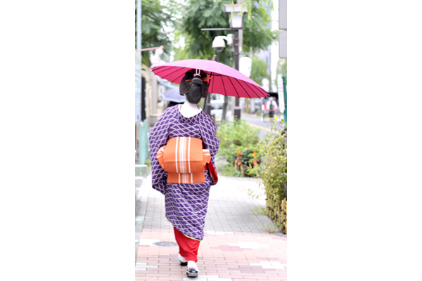 「浅草見番」に立ち寄ってから小雨の中、風流な柳通りを和風傘をさしてお仕事に向かう芸者さん。 